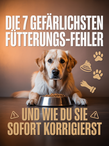 Cover Geschenk Hunde Ernährungsratgeber